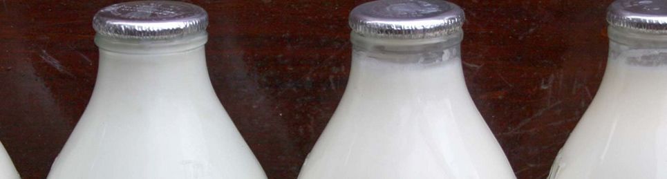 recycling-hdpe-milk-bottles-into-useful-products