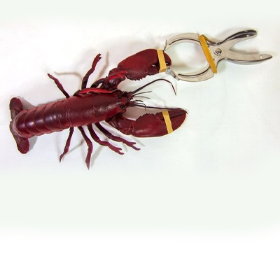 Lobster & Crab Fishing Bands & Tools 