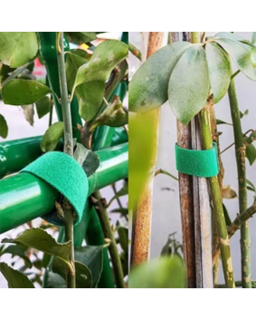 VELCRO® Brand ONE-WRAP® Green Plant Tie Size 10mm being used in various ways 